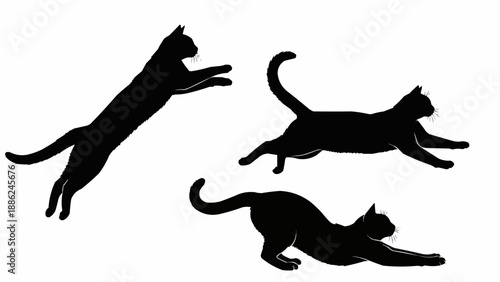 Silhouettes of three cats in different poses.