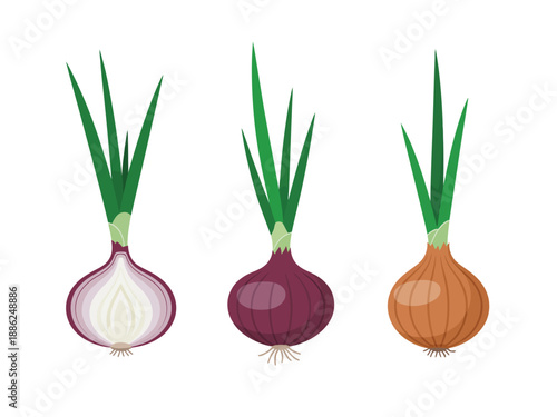 Three onions with green leaves on white background