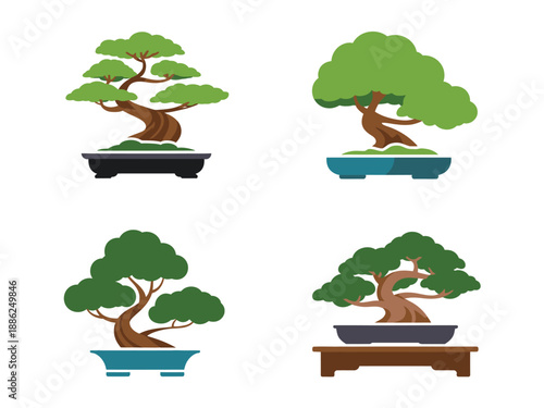 Bonsai tree collection in different pots and stands