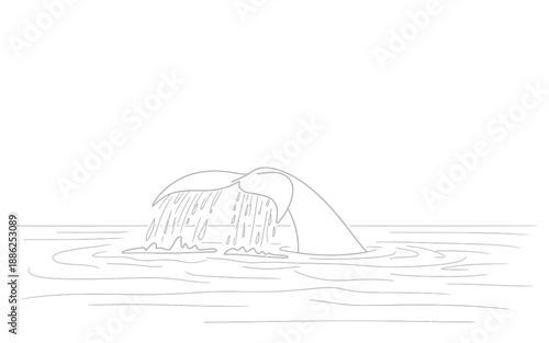 Whale Tail Diving into Ocean Water Waves Sketch Illustration