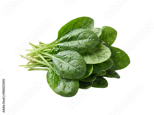 Fresh organic basil and spinach leaves isolated on white background as a healthy herbal plant ingredient for raw salad