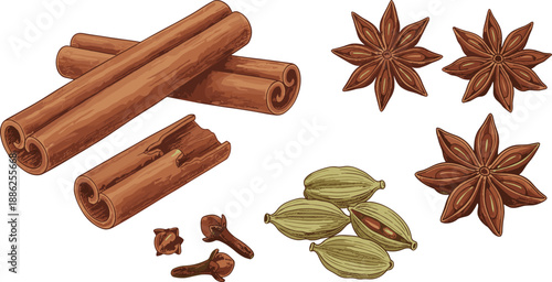 Aromatic spices illustration set isolated on white background, cinnamon sticks, star anise, cardamom pods, and cloves for cooking, baking, and herbal design use
