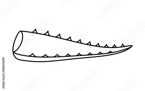 Simple line drawing of a long aloe vera succulent leaf with thorns