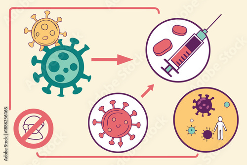 an infographic explaining how vaccines work in the human body.