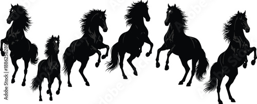 Horse silhouette illustration set, dynamic rearing and motion poses, flowing mane and tail, cad drawing flat vector artwork, black and white theme