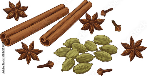 Spice collection illustration isolated on white background, cinnamon sticks, star anise, cardamom pods, and cloves arranged for cooking, baking, and culinary design
