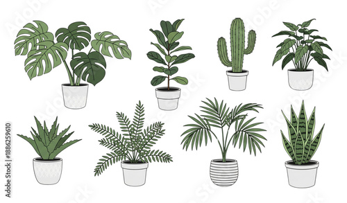 Trendy indoor houseplant vector set with potted plants in modern flat hand drawn style isolated on transparent background