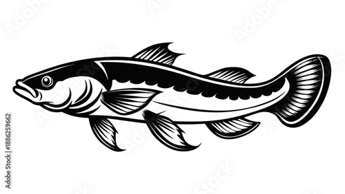 Black and white fish illustration