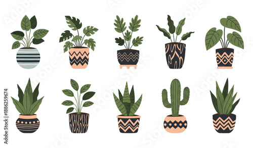 Hand drawn flat indoor houseplants vector illustration set for urban jungle decor isolated on transparent background