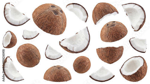 Photos a visually engaging collection of whole coconuts and fresh pieces of coconut flesh and shell, presented on a clean transparent background for tropical food inspiration