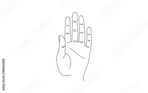 Simple Line Drawing of a Human Hand Palm with Palmistry Lines