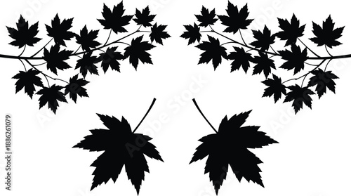 Black vector silhouette set of maple leaf branches and falling autumn foliage isolated on white background for seasonal decoration and canadian nature design element