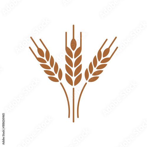 Golden wheat ears illustration