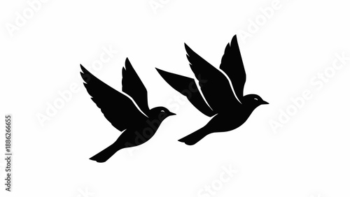 Two Black Birds Silhouettes Flying Together in Flight.