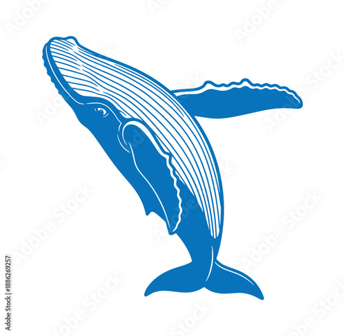 blue whale jumping out of water with fins up in natural ocean scene
