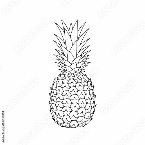 A detailed black and white illustration of a pineapple from a front viewpoint