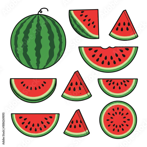 Assorted watermelon slices and whole fruit displayed in a graphic illustration from a direct viewpoint