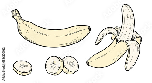 A simple illustration of bananas and slices displayed on a clean white background from a straightforward viewpoint