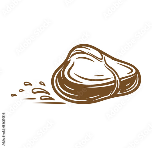 Brown chocolate candy with splashes isolated on white background