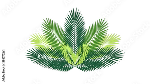 Palm Fronds Green Leaves Tropical Foliage.