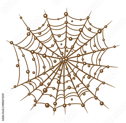 Brown spider web with dew drops isolated on white background