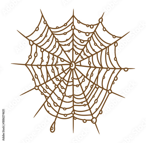 Brown spider web with dew drops isolated on white background