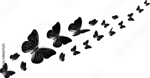 Silhouettes of butterflies in ascending flight pattern, illustrating motion, elegance, and natural beauty