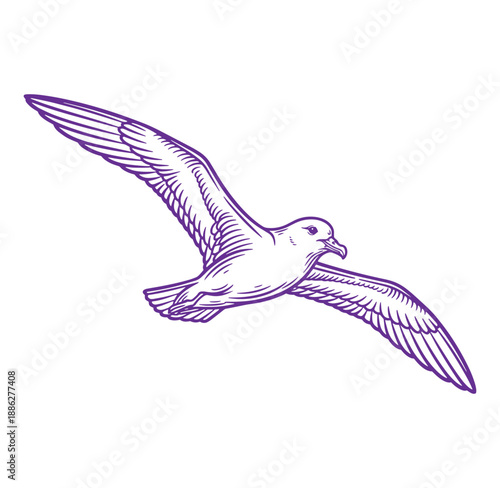Purple illustration of a seagull flying in the air with outstretched wings