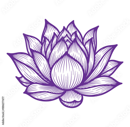 Purple lotus flower illustration with white details and transparent background