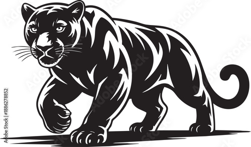 Black tiger illustration walking forward with aggressive stance and curled tail on white background