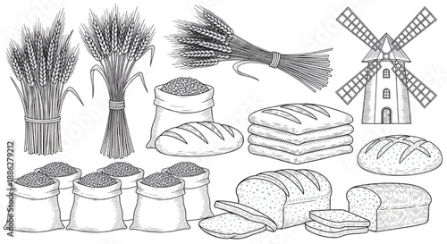 Wheat and Cereal Plants Doodle Set with Hand Drawn Grain Icons