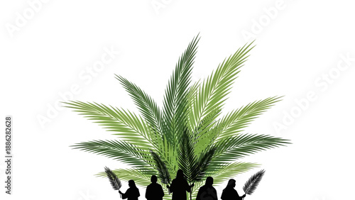 Palm Tree with Green Leaves Isolated.