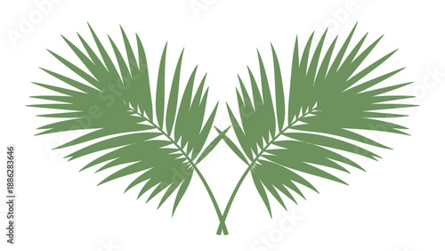 Palm Leaves Heart Shape Illustration.