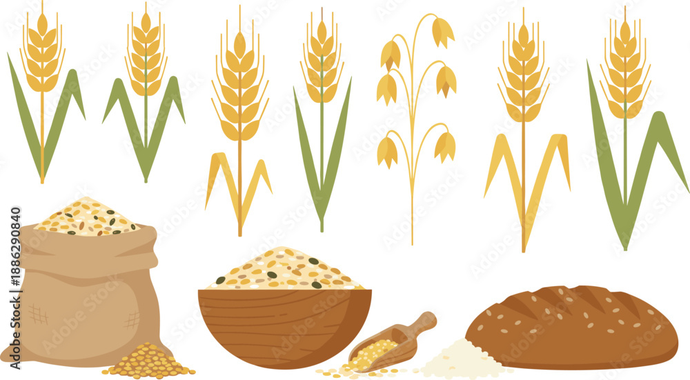 Fototapeta premium Wheat and Grain Food Illustration Set Featuring Wheat Stalks, Rice, Flour, and Bread in Flat Vector Style