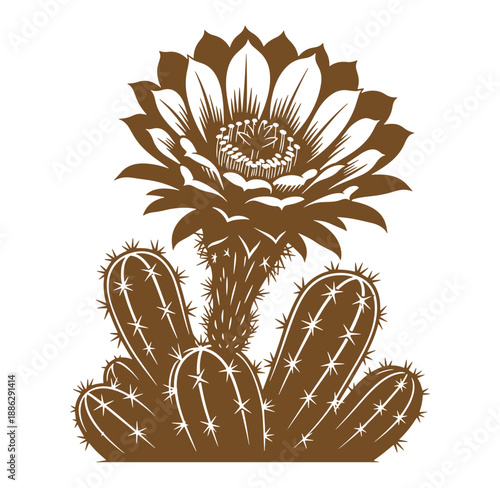 Brown cactus with large flower on top isolated on transparent background