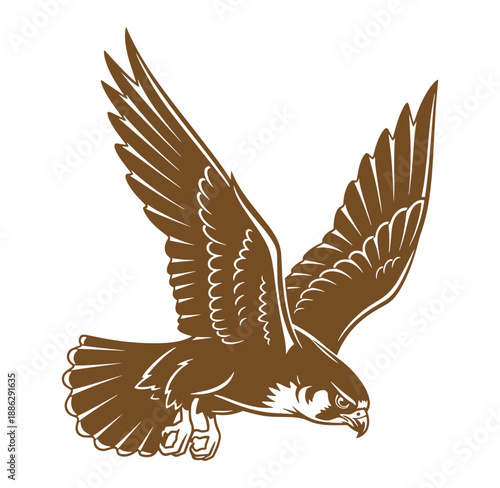 Brown hawk flying with wings spread wide in mid air motion  bird of prey in flight