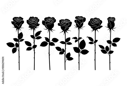 Elegant rose flower silhouettes with stems isolated on white background minimalist botanical vector
