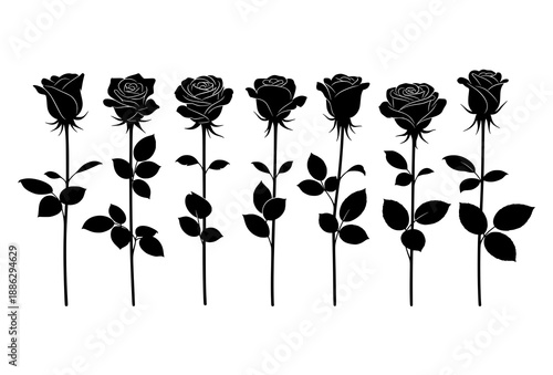 Elegant rose flower silhouettes with stems isolated on white background minimalist botanical vector