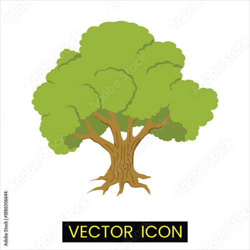 Large mature green tree with a wide canopy and visible roots, vector icon