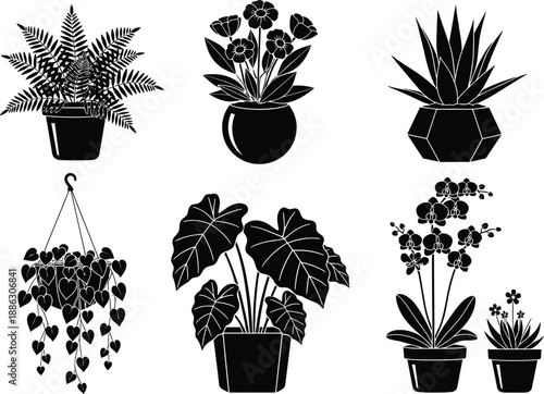 Black silhouette vector illustration set of diverse houseplants including ferns, orchids, and potted flowers, minimalist indoor garden greenery icons isolated on white,vvvvvvvv