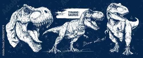 Vintage TRex study in ink, Dynamic ink hand-drawn sketch of TRex head and stance, Exaggerated ink portrayals of TRex demonstrating fierce expression and detailed teeth with vintage label