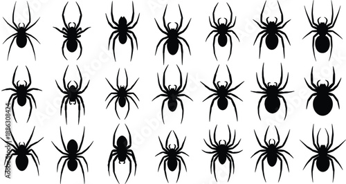 Set of black spider silhouettes isolated on white background vector illustration for Halloween decoration, spooky party invitation, or scary insect graphic design elements.