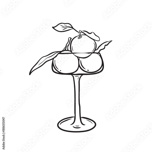 Hand drawn coctail glass with oranges vector
