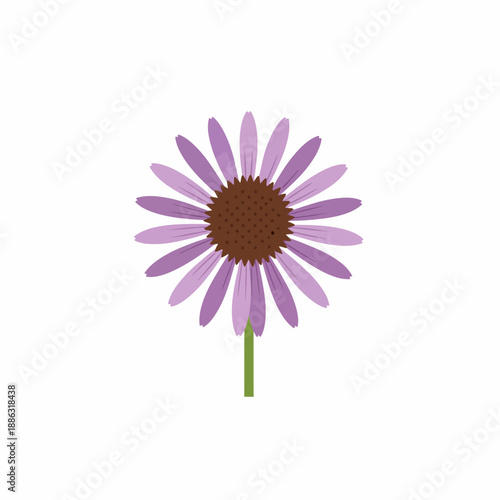 Stylized purple coneflower illustration with a brown center on a white background