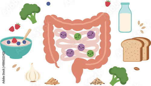 Gut Health and Digestive System Illustration Featuring Intestines, Probiotics, and Healthy Foods in Flat Vector Style