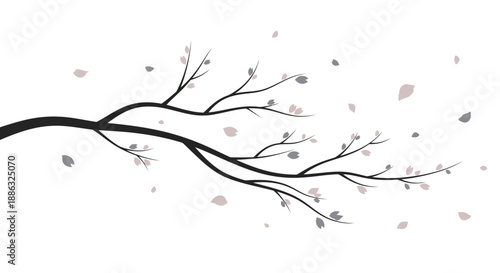 A delicate cherry blossom branch gracefully displays its light pink petals falling in a gentle breeze against a clean white background, evoking a sense of springtime serenity