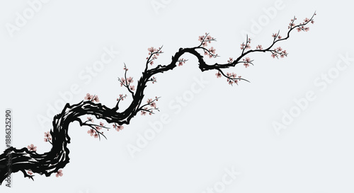 Elegant cherry blossom branch with delicate pink flowers on a stark white background, evoking a sense of minimalist beauty and Japanese art
