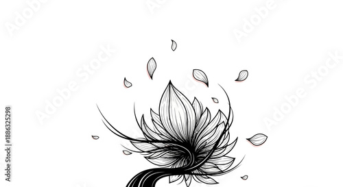 A delicate lotus flower, artfully drawn with wispy petals scattering in the breeze, evokes a sense of tranquil beauty and natural grace