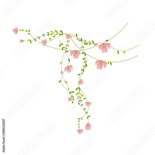 cherry blossom branch