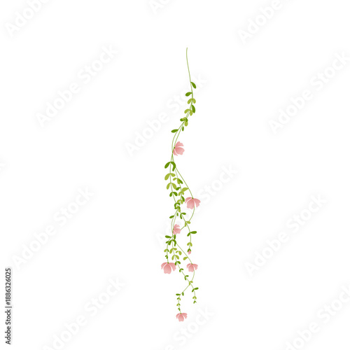 Cherry blossom vines 